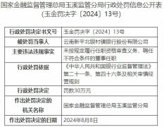 云南新平北銀村鎮銀行被罰 